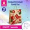 Пакет подарочный КОМПЛЕКТ 10 штук, новогодний, 26x13x32 см, "Christmas Kraft", ЗОЛОТАЯ СКАЗКА, 591961 591961