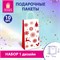 Пакет подарочный КОМПЛЕКТ 10 штук, 12x8x25 см, ЗОЛОТАЯ СКАЗКА, 591964 591964