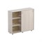 Шкаф - тумба (купе) ШТ3(03)